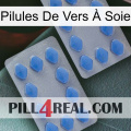 Pilules De Vers À Soie 20